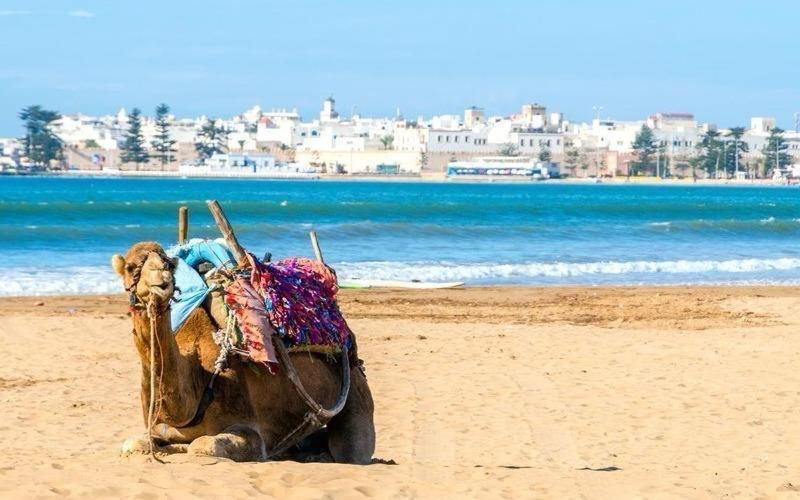 Appartement Essaouira Proche De La Mer Eksteriør bilde