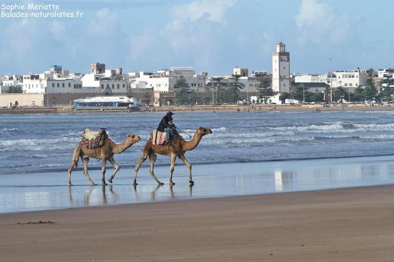 Appartement Essaouira Proche De La Mer Eksteriør bilde